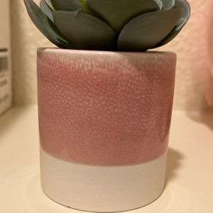 Fake succulent plant in pink ceramic holder